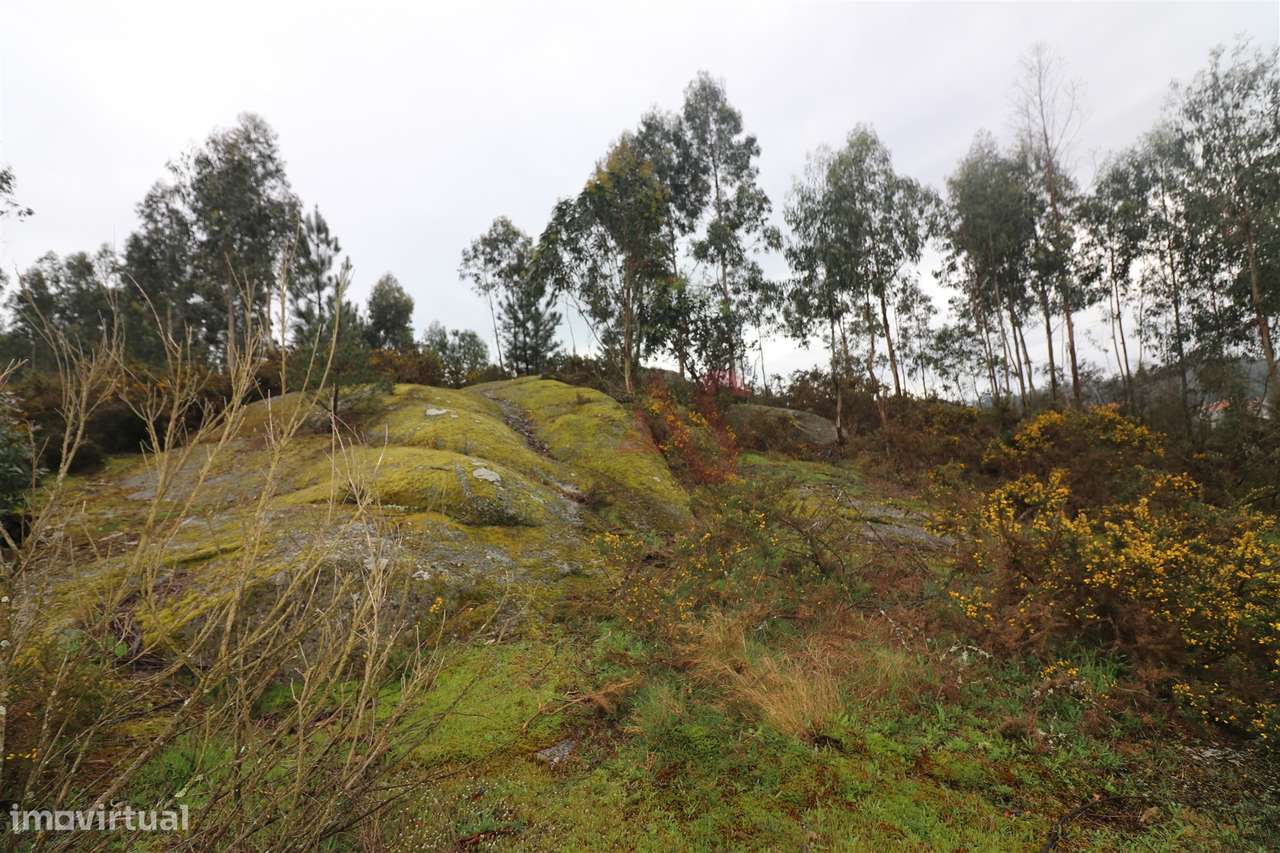 Moradia T4 para Restauro em Croca, Penafiel – Excelente Oportunidade d - Grande imagem: 5/21