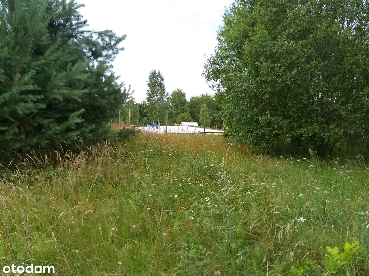 Działka, 1 500 m², Nowa Wieś Przywidzka-2