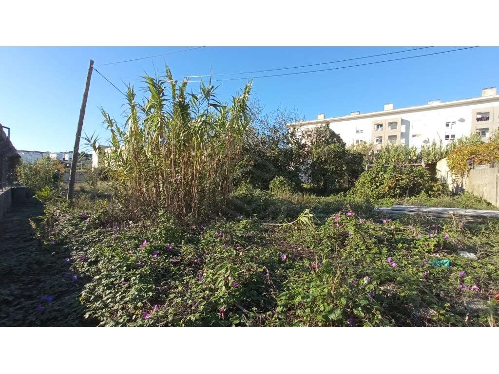 Terreno na Ajuda com área total de 2000 m2., Lisboa - Grande imagem: 3/20