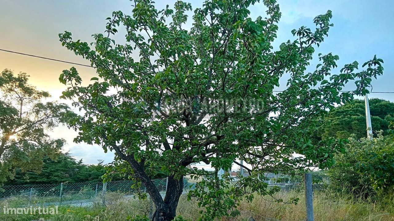 Terreno Urbano em Stº António da Charneca - Barreiro-11