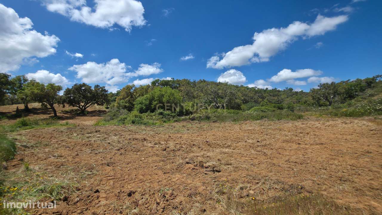 Herdade 237 Hectares Elevado Potencial de Desenvolvimento, Santiago do-13