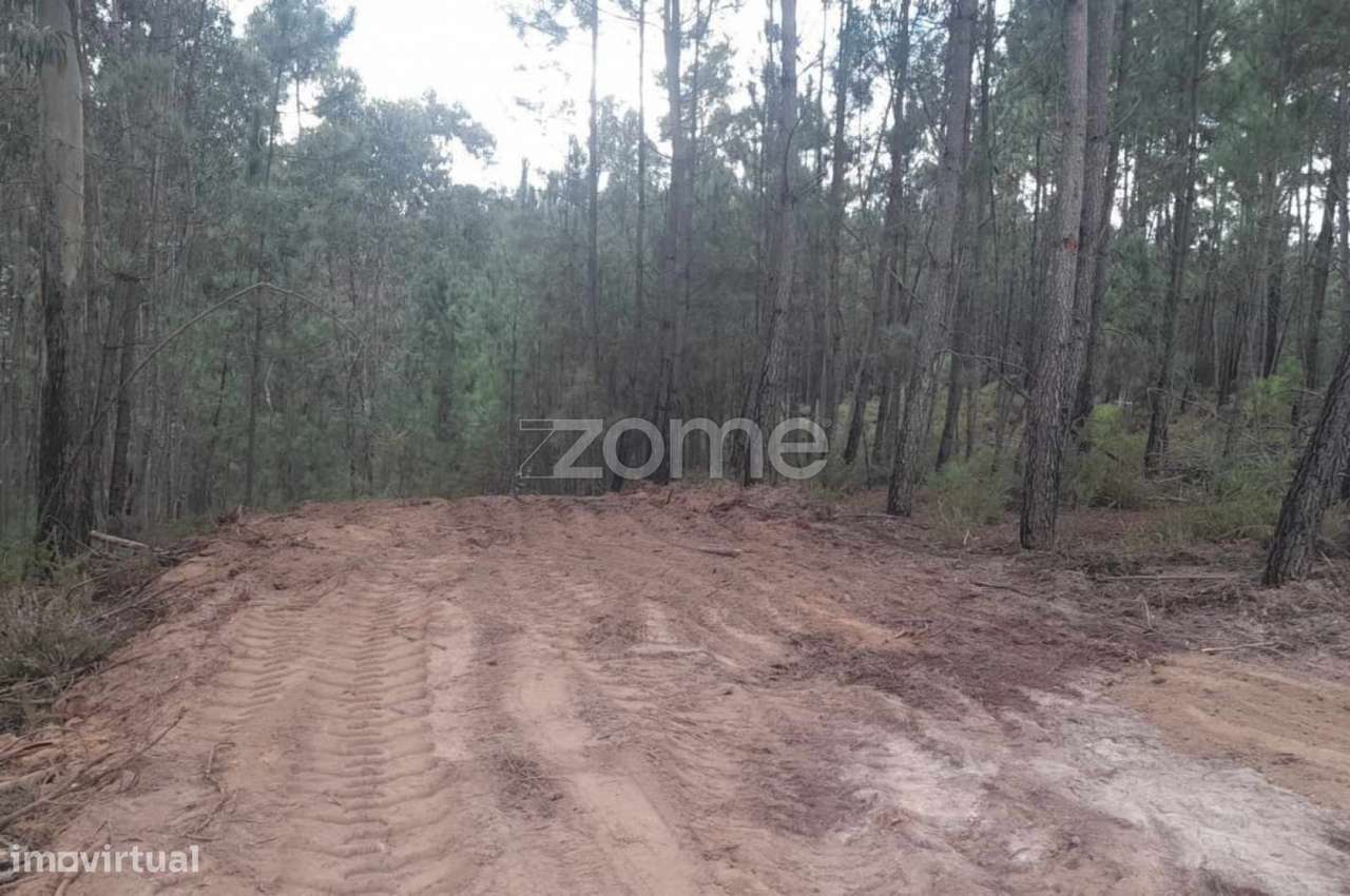 Terreno rústico para Venda - Grande imagem: 3/22