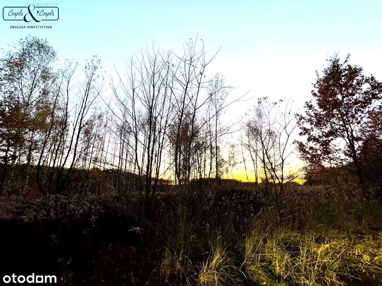 Kompleks działek rolno leśnych w Rudnie - Pełny obrazek: 5/5