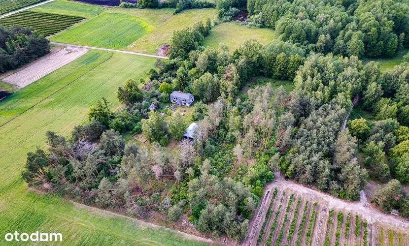 Podlasie urocze siedlisko, miejsce mocy-9