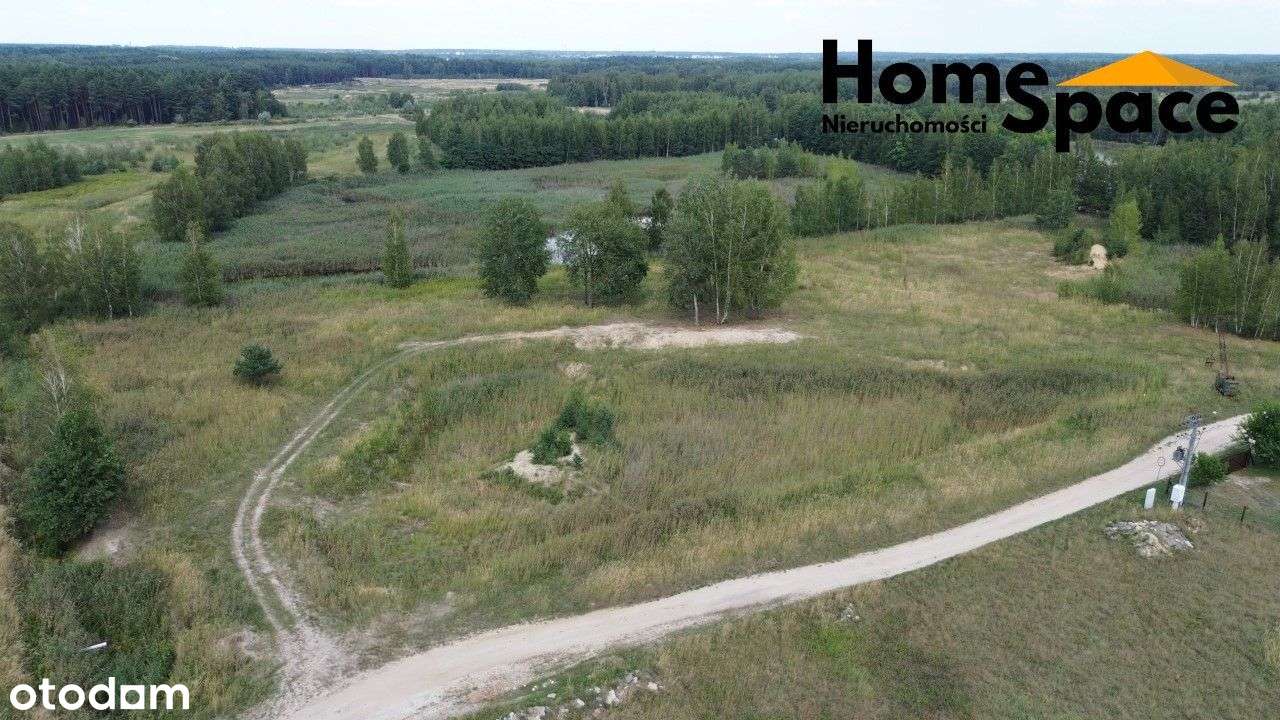 Działka na sprzedaż - 4,8 ha - Budy Głogowskie - Pełny obrazek: 5/11