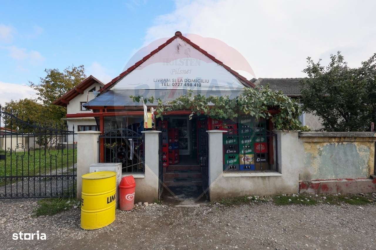 Spațiu comercial cu potențial extraordinar-7