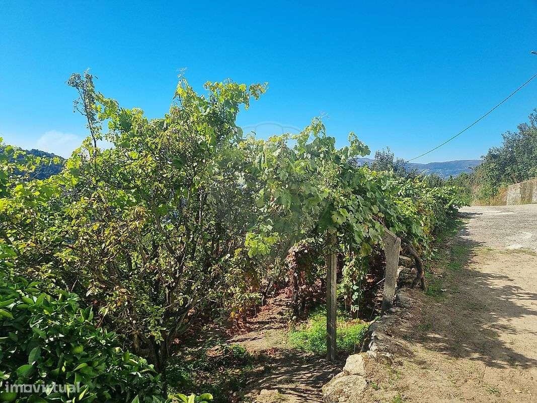 Quinta  para venda-25