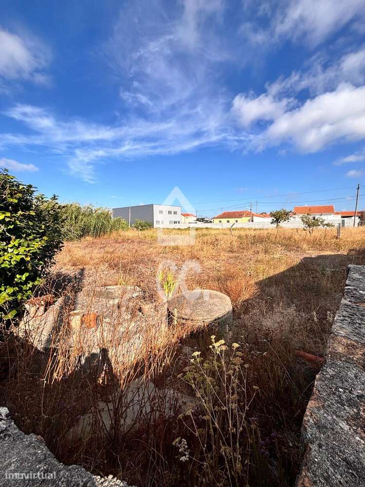 Venda global: Moradia térrea de quatro assoalhadas, e, terreno rústico-16