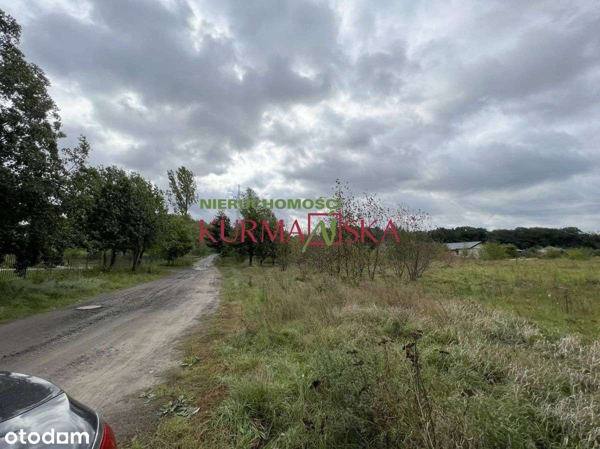 Działka budowlana Płoty gmina Czerwieńsk - Pełny obrazek: 5/5