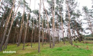 Klimatyczna działka w Legionowie