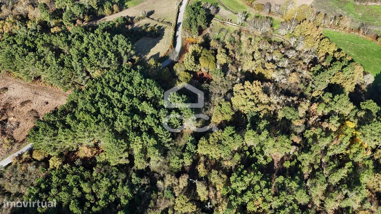 Terreno rústico com dois poço e vista privilegiada - Grande imagem: 5/16