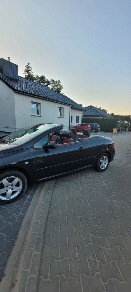 Peugeot 307 2004