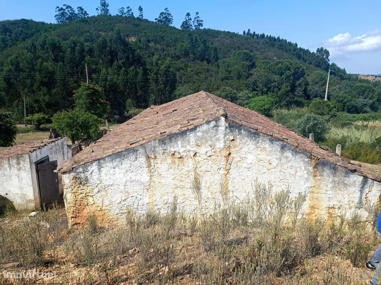 Terreno Misto com 3,66HA - Perna Seca - S. B. Messines - Grande imagem: 3/36