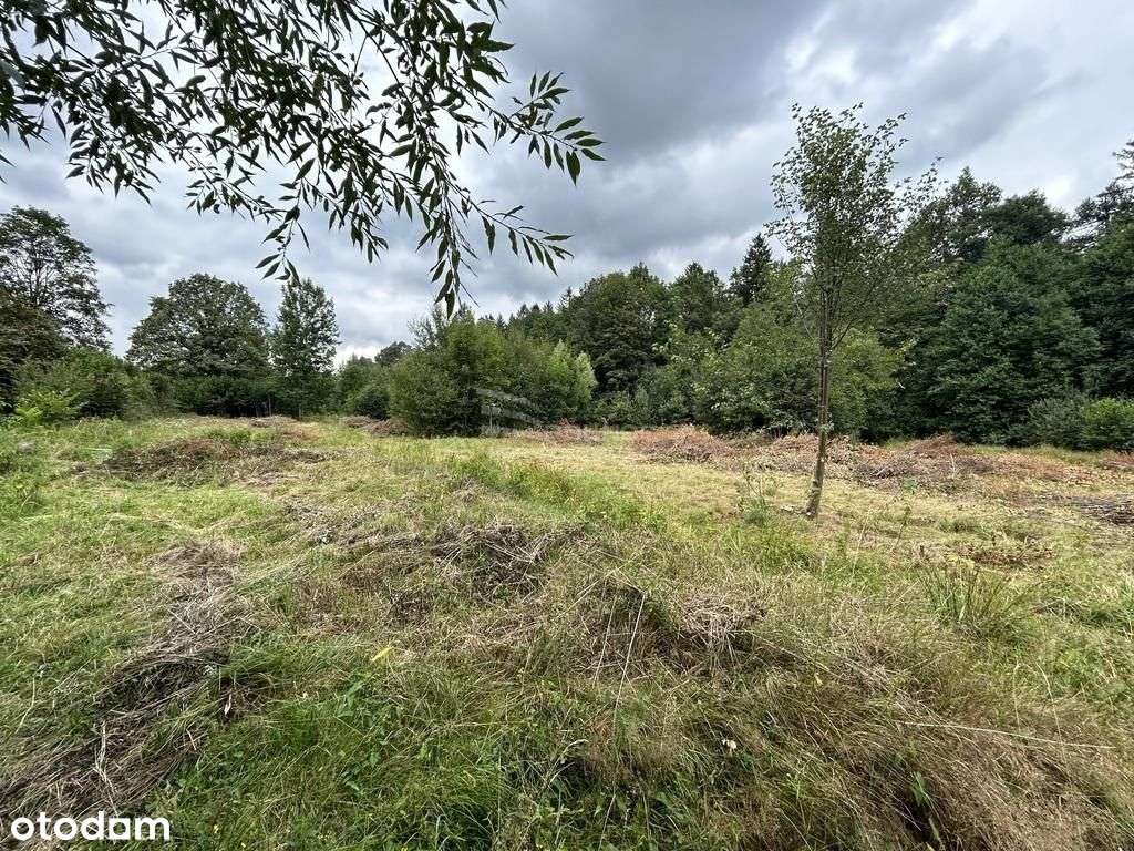 Działka w Górzyńcu w otoczeniu drzew z mediami. - Pełny obrazek: 3/7
