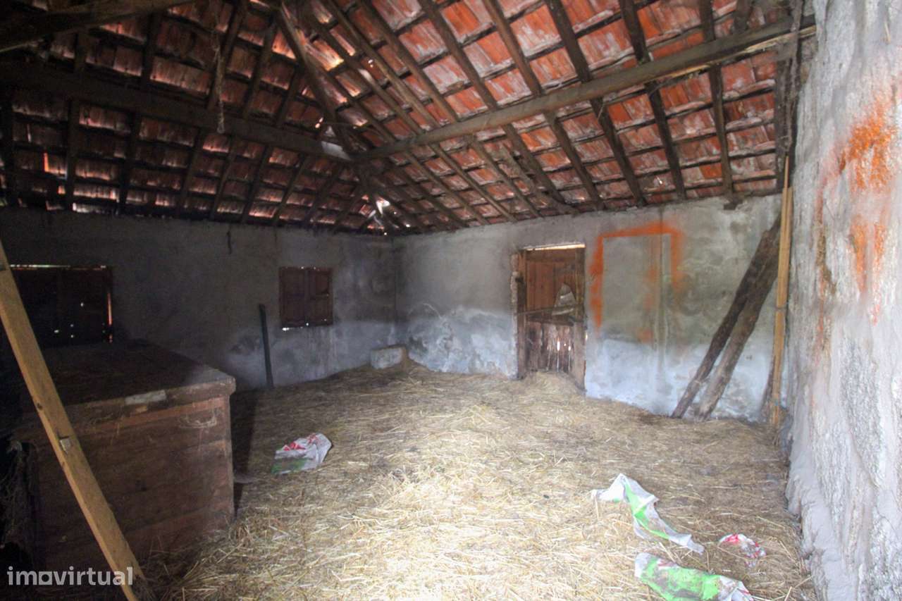 Quinta T3 Venda em Bustelo, Carneiro e Carvalho de Rei,Amarante - Grande imagem: 4/25