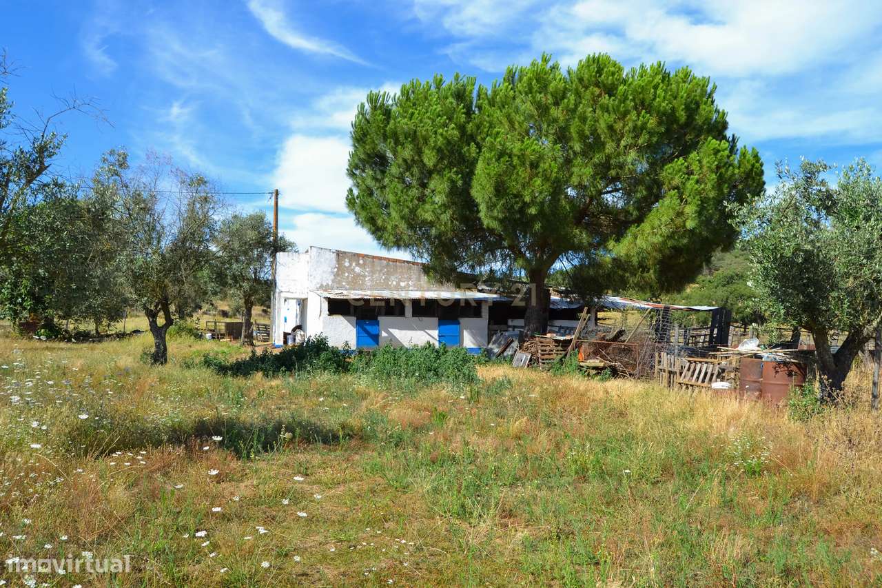 Quinta Courela da Mina - Grande imagem: 4/13