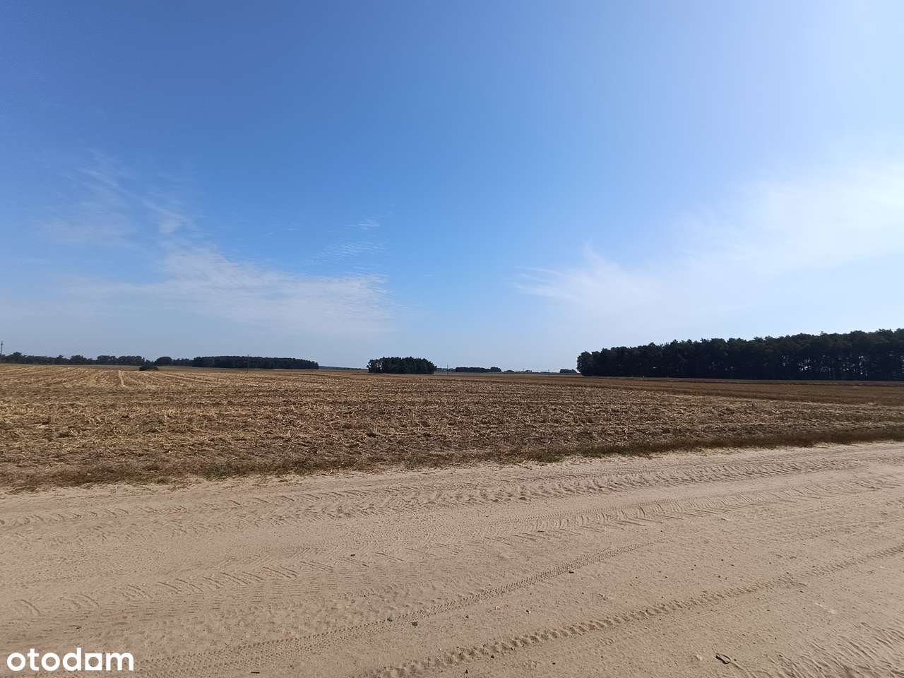 Działka rolna 7,5 ha Rychnowy - Pełny obrazek: 5/11