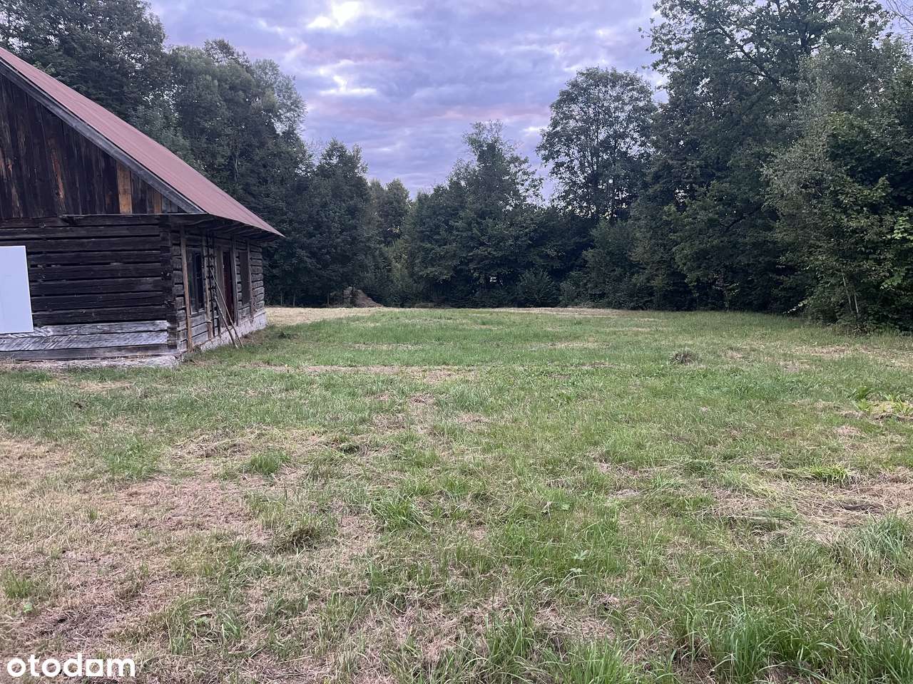 Dom do generalnego remontu. Przy lesie. Samotnia/ Agroturystyka. - Pełny obrazek: 4/5