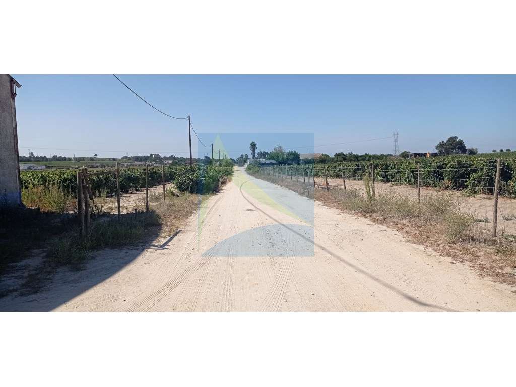 Propriedade Vitivinícola | 130.000 m² | Syrah & Moscatel-5