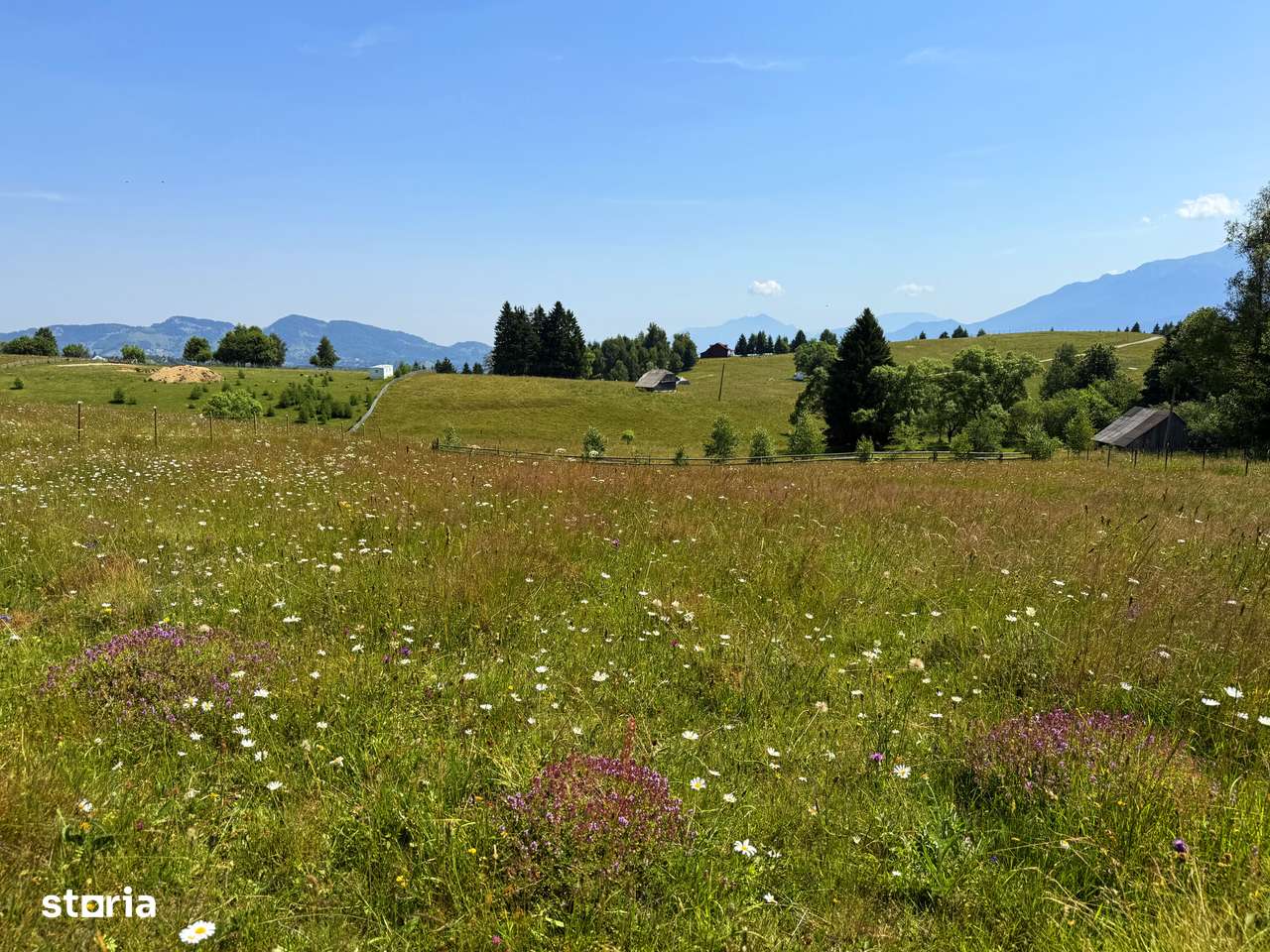 Teren de Vanzare -  2000 mp -   sat Sirnea , jud. Brasov-6