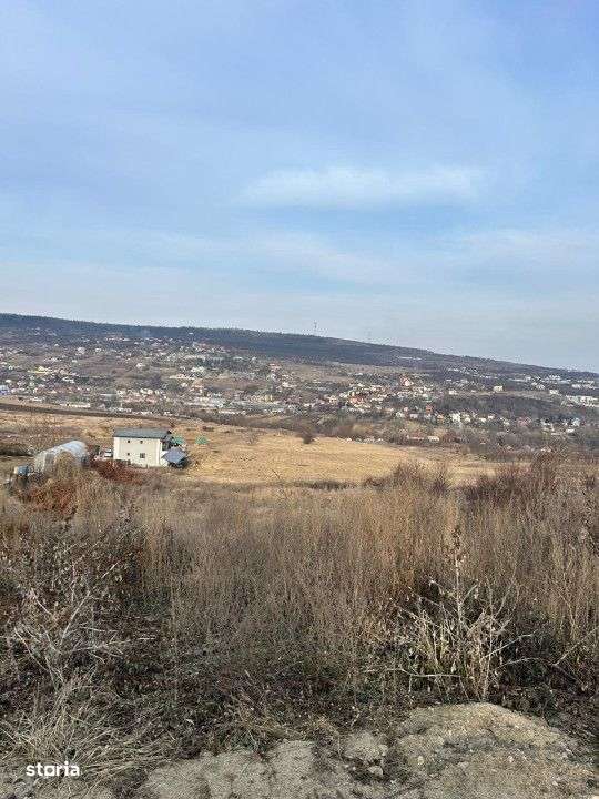 Teren 9.555mp front 28ml constructie ansamblu case Iris - Imagine principală: 3/3