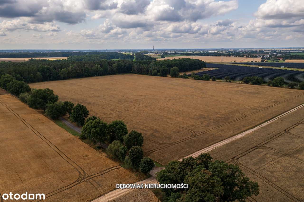 II etap sprzedaży / Atrakcyjne nowe osiedle w Gronówku / blisko Leszna-19