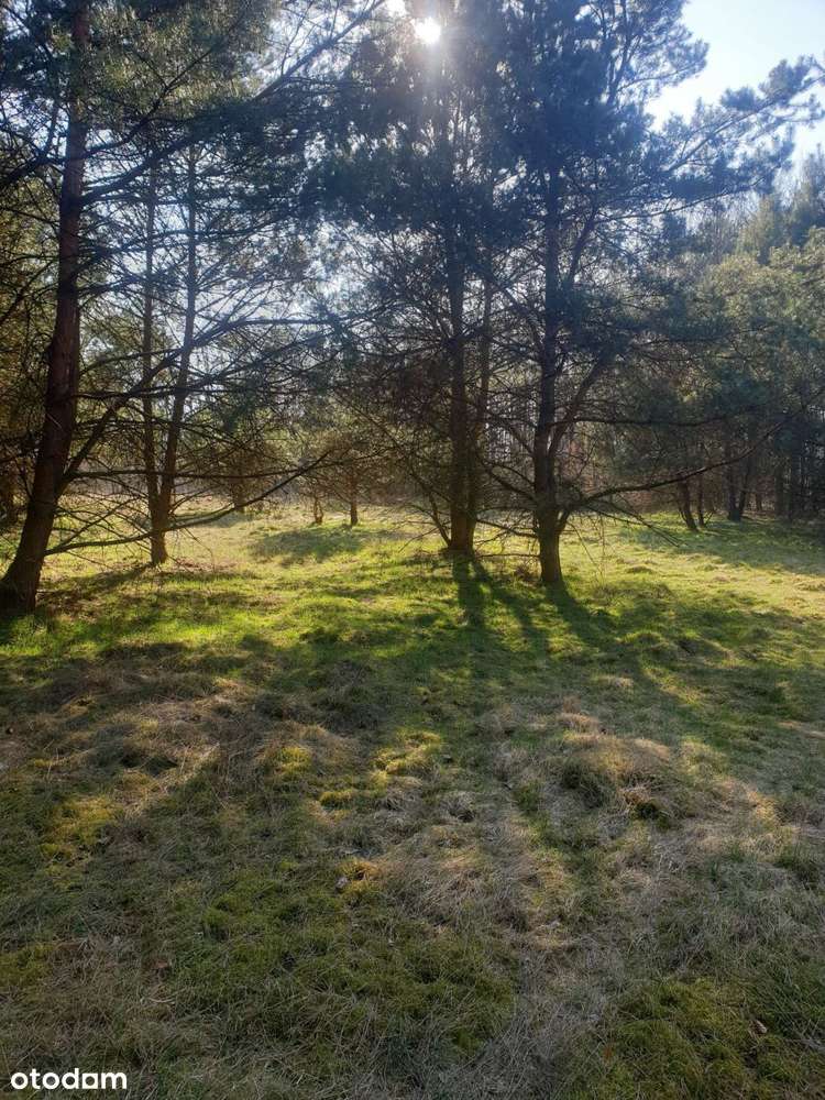 działka - Pełny obrazek: 5/12