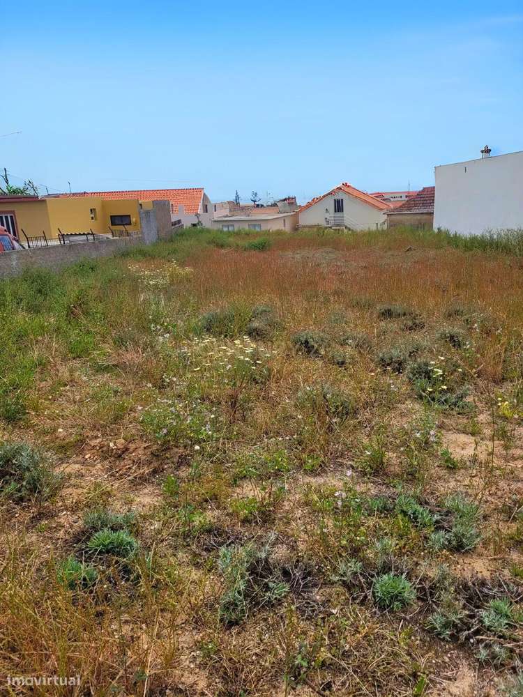 Terreno em Porto Santo – Oportunidade Única num Cenário Natural Incomp - Grande imagem: 5/9