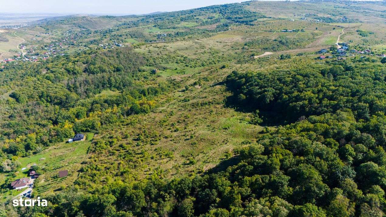 Vanzare Teren Intravilan 11.3 Ha Bucium PUZ+CU valabil Case D+P+E+M - Imagine principală: 4/6