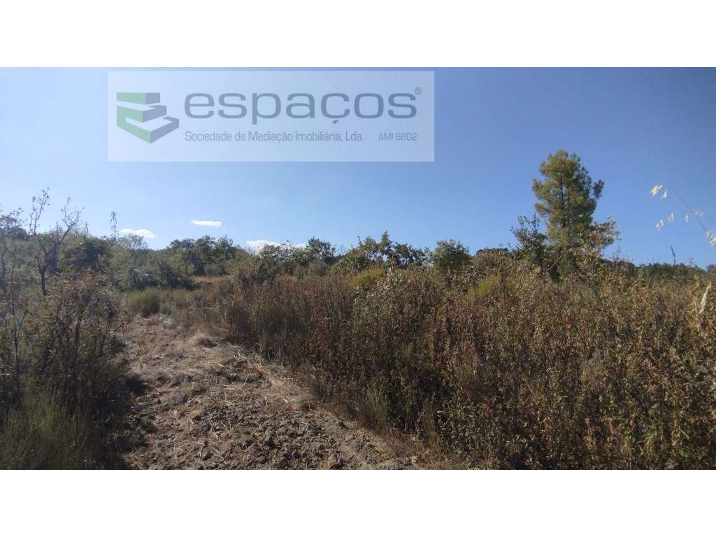 Terrenos - Grande imagem: 5/11