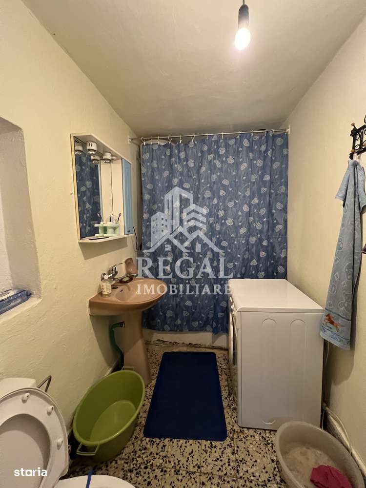 Două case individuale de vânzare în Teliuc –ideale pentru două familii-7