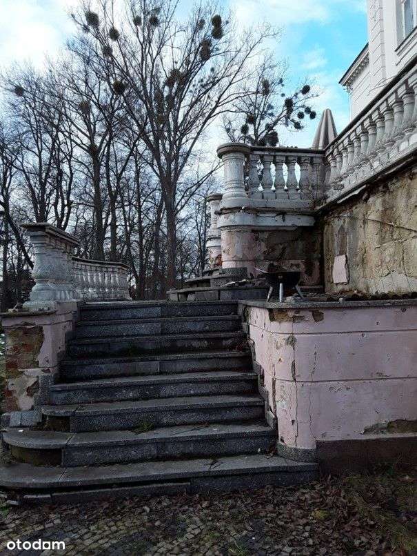 Zespół pałacowo-parkowy - Pełny obrazek: 4/7