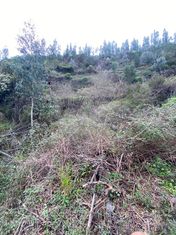 Terreno  para venda - Grande imagem: 5/5