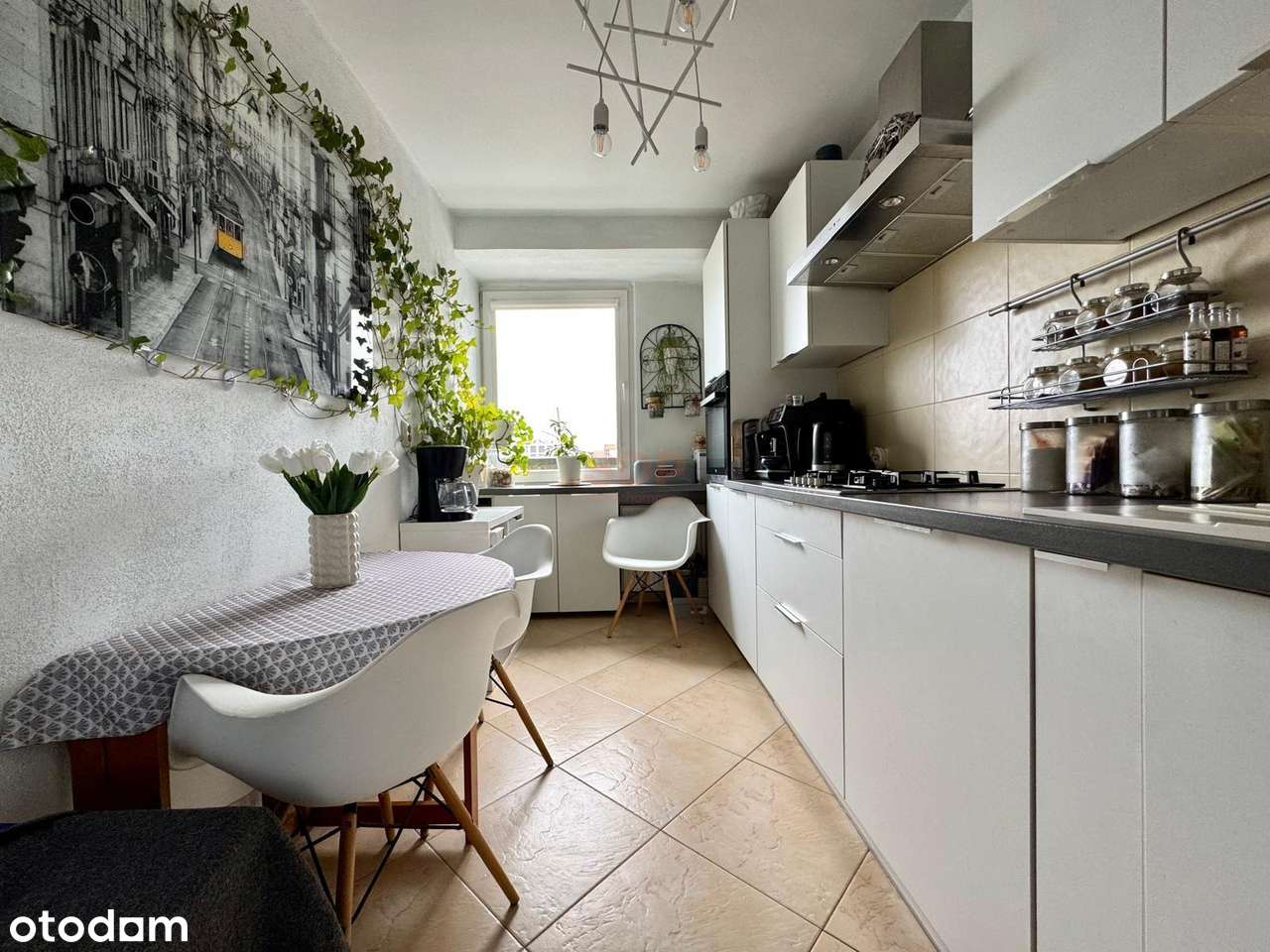 3 Pokoje|Centrum|Manhattan - Pełny obrazek: 3/7