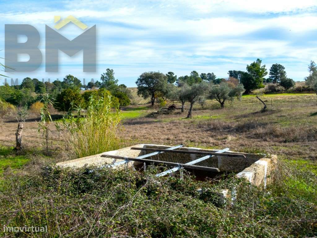 Quinta das Fontainhas - Propriedade Única em Lardosa-37