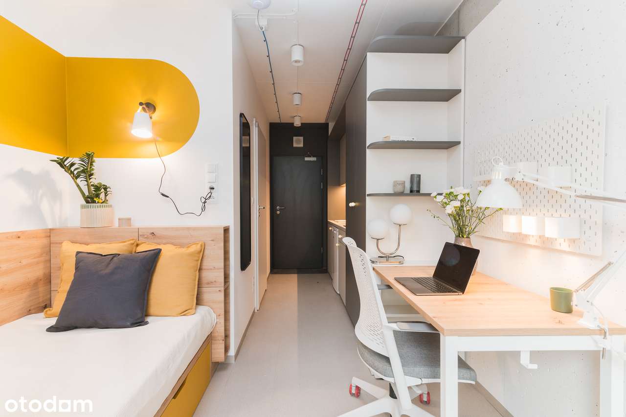 NOWE Studio | Media bez limitu w cenie - Pełny obrazek: 4/11