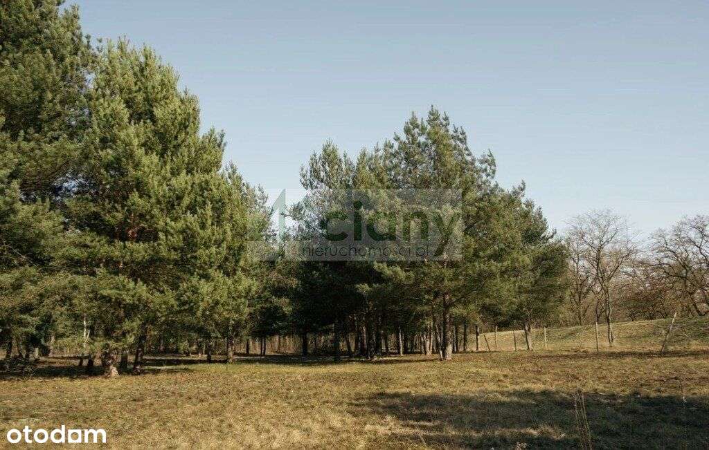 Działka, 1 906 m², Rajszew - Pełny obrazek: 4/5