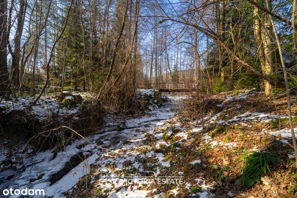 Stylowy całoroczny dom pod Babią Górą -1,2h od KRK-13