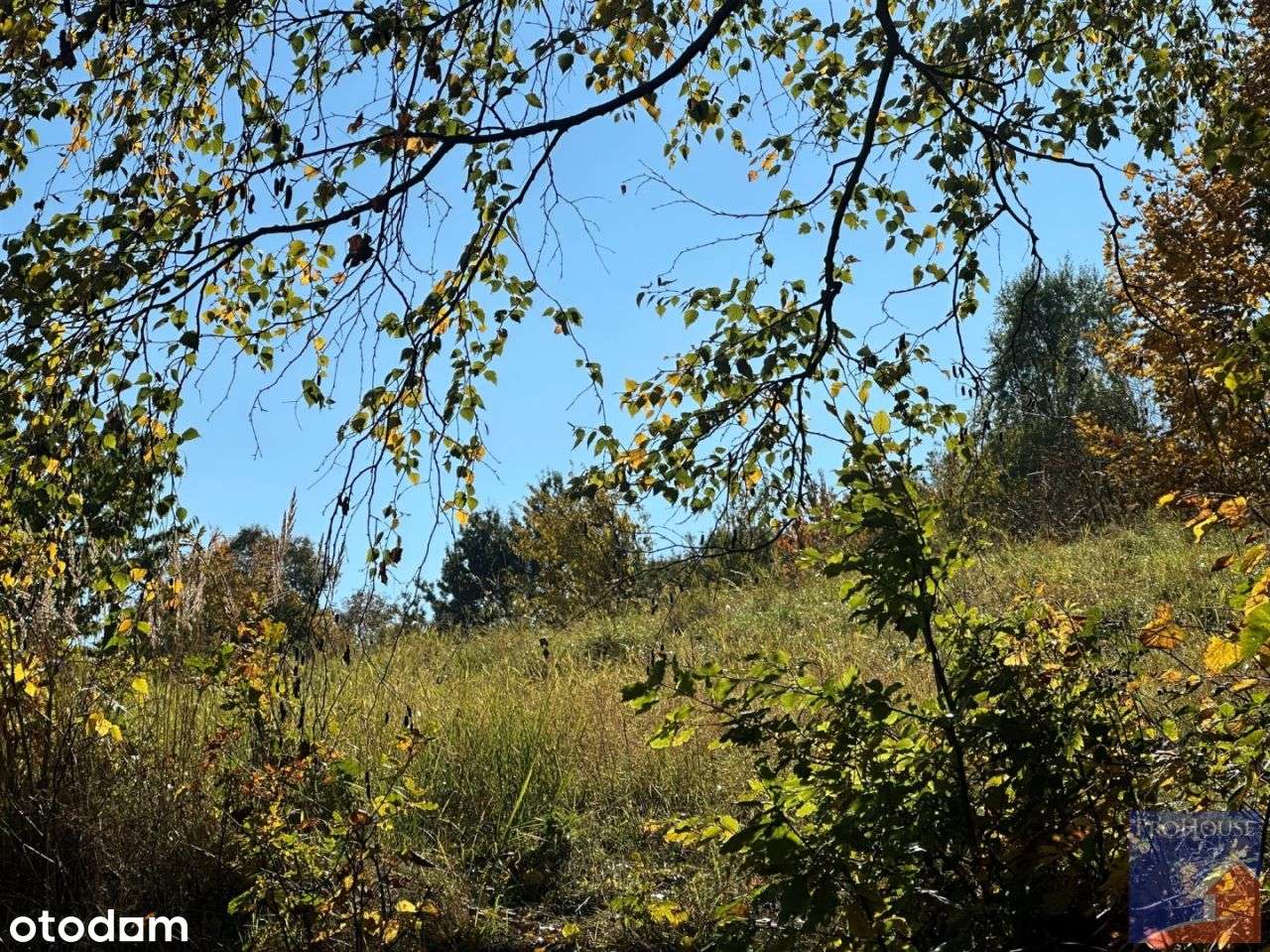 Działka, 1 244 m², Laskowa - Pełny obrazek: 4/20