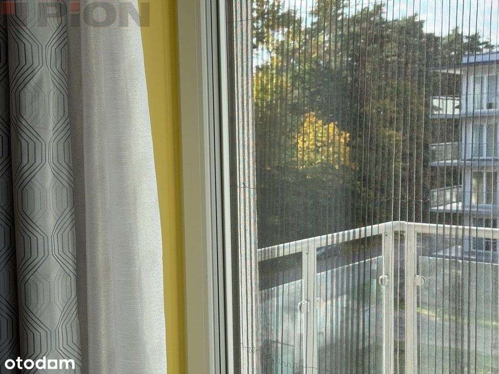 Nad morzem przy lesie - Pełny obrazek: 4/13