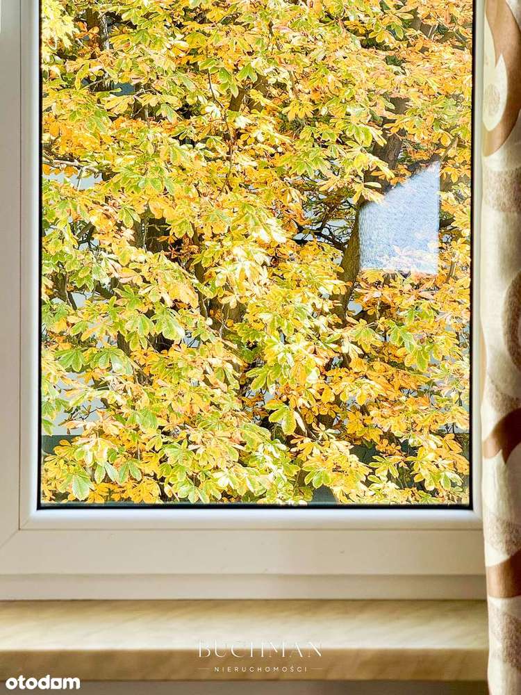 Kawalerka w centrum z widokiem - Dużo światła Bez Prowizji FILM-14