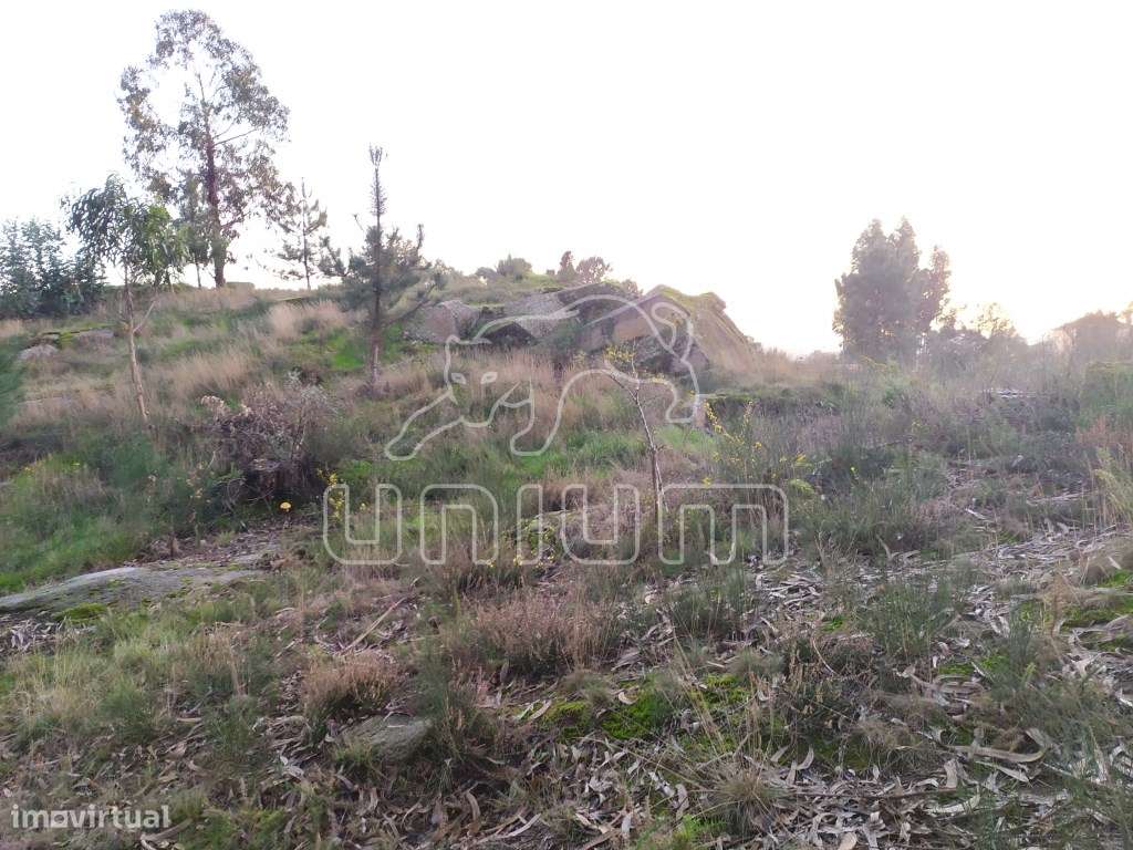 Terreno em Cardielos - Grande imagem: 4/7