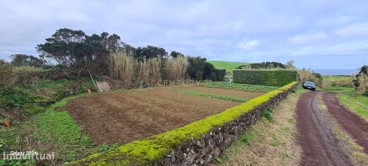Terreno Rústico em Ribeira Grande com Jardim e Árvores Antigas-9