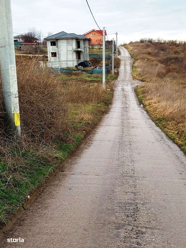 Viticulori, intrare prin Pacurari sau Aleea M. Sadoveanu, 2820 mp-9