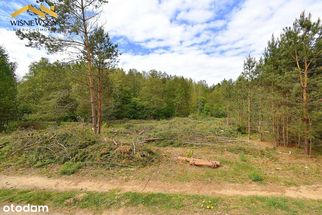 Działka budowlana, 2211 m2, przy lesie, uzbrojona - Pełny obrazek: 5/8