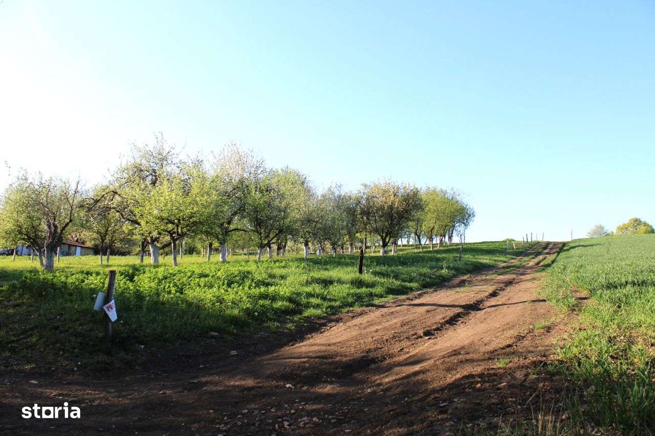 Casa de vanzare - Mosie - Livada-14