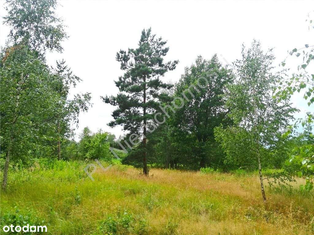 Działka, 1 841 m², Kolonia Janów - Pełny obrazek: 5/10