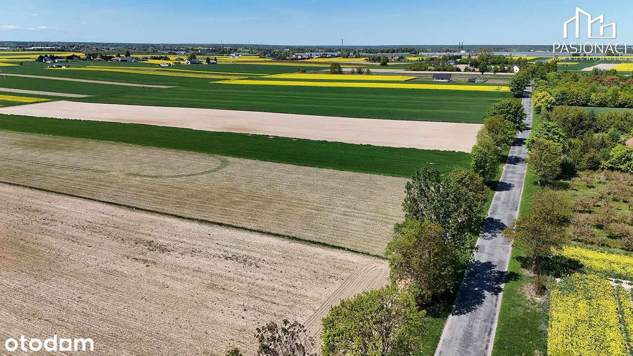 Działka na sprzedaż, Niemce - Pełny obrazek: 5/6