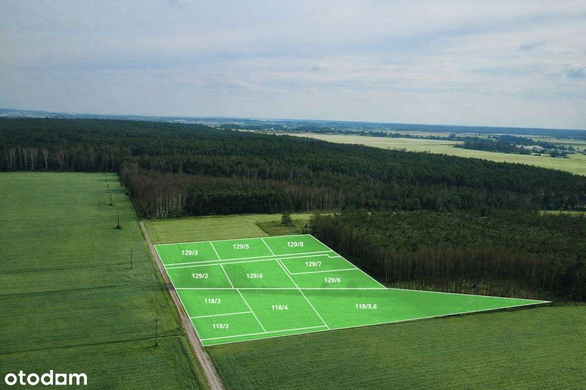 Działki budowlane w otulinie lasu-4