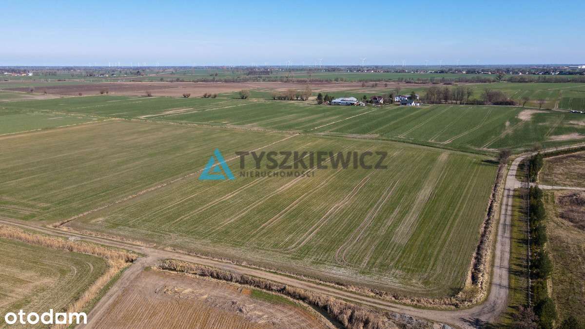 3 Działki rolne pod uprawy - Czerwone Stogi - Pełny obrazek: 5/12